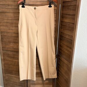Ann Taylor Tan Women's Pants